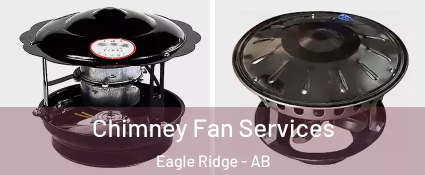  Chimney Fan Services Eagle Ridge - AB