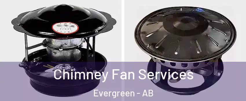  Chimney Fan Services Evergreen - AB