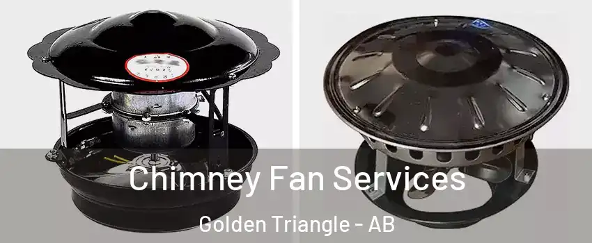  Chimney Fan Services Golden Triangle - AB
