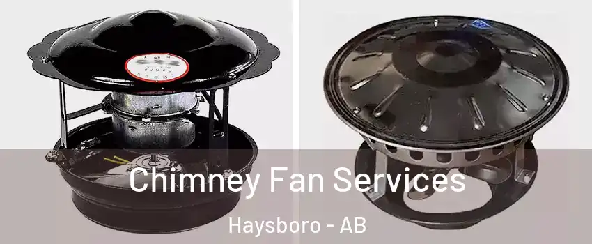  Chimney Fan Services Haysboro - AB