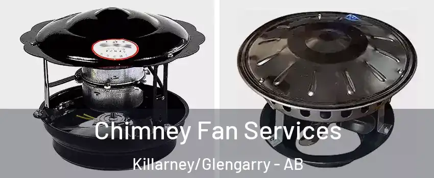  Chimney Fan Services Killarney/Glengarry - AB