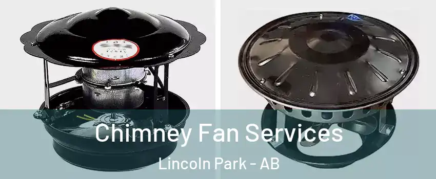  Chimney Fan Services Lincoln Park - AB
