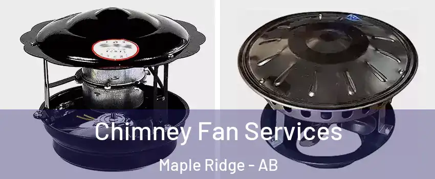  Chimney Fan Services Maple Ridge - AB