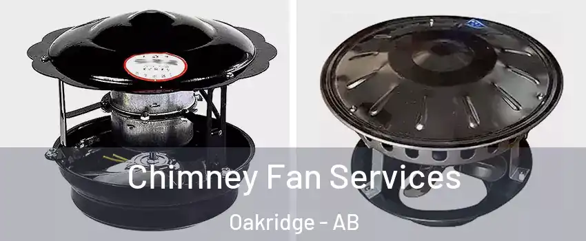  Chimney Fan Services Oakridge - AB
