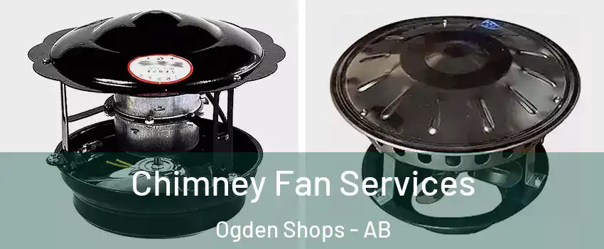  Chimney Fan Services Ogden Shops - AB