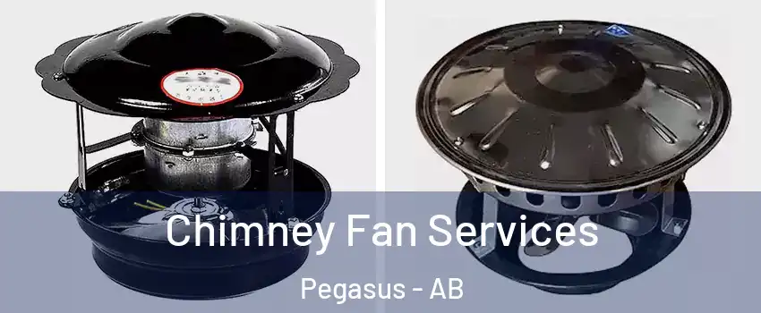  Chimney Fan Services Pegasus - AB