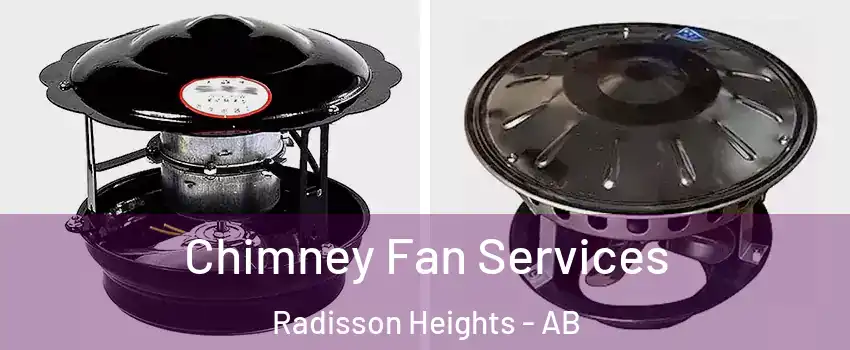  Chimney Fan Services Radisson Heights - AB