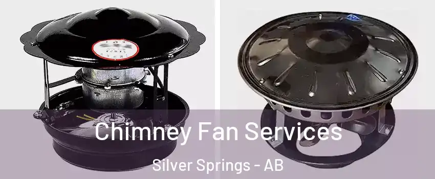  Chimney Fan Services Silver Springs - AB