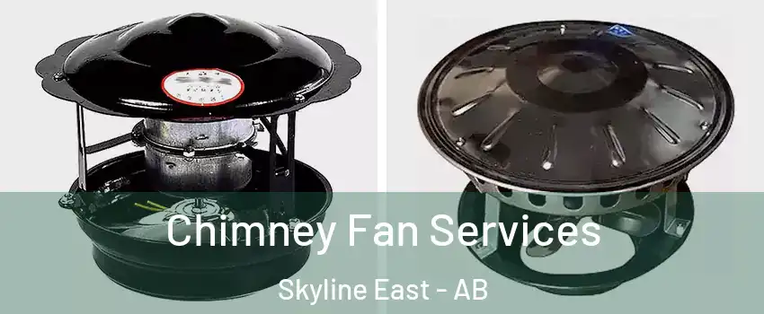  Chimney Fan Services Skyline East - AB