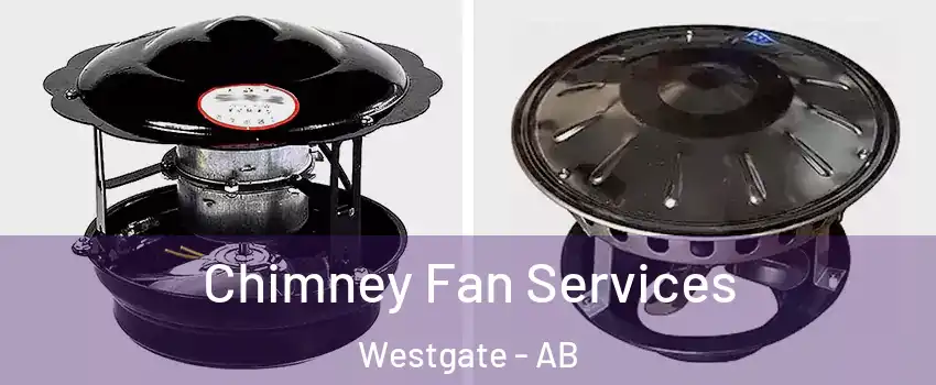  Chimney Fan Services Westgate - AB
