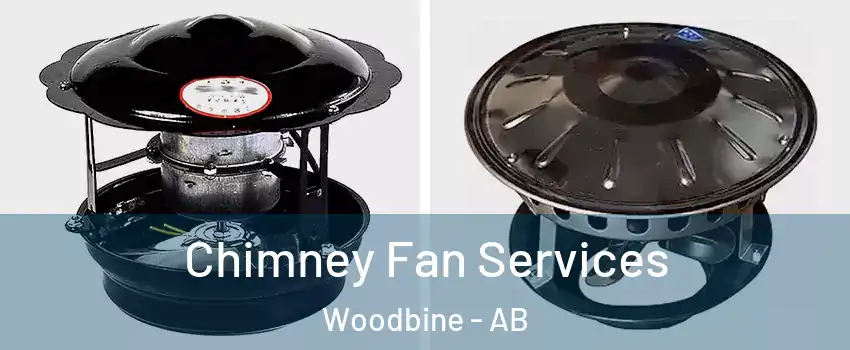  Chimney Fan Services Woodbine - AB