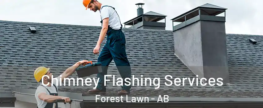  Chimney Flashing Services Forest Lawn - AB