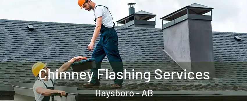 Chimney Flashing Services Haysboro - AB