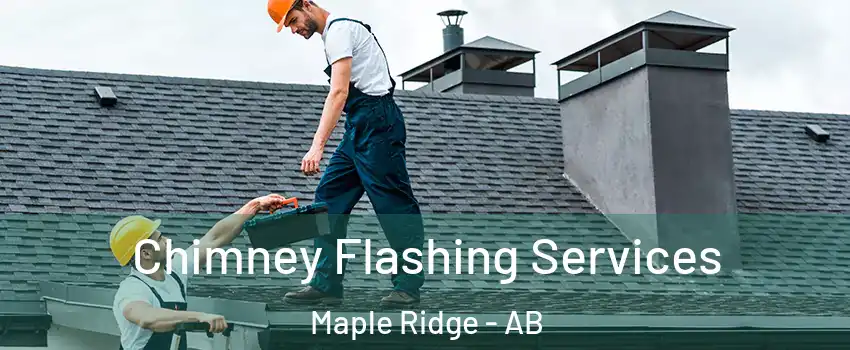 Chimney Flashing Services Maple Ridge - AB