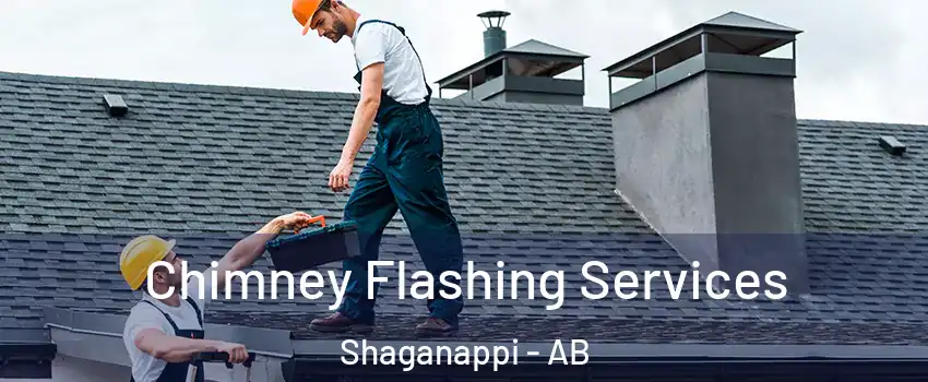  Chimney Flashing Services Shaganappi - AB