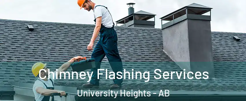 Chimney Flashing Services University Heights - AB