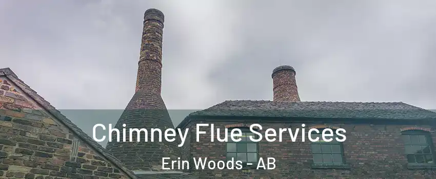  Chimney Flue Services Erin Woods - AB