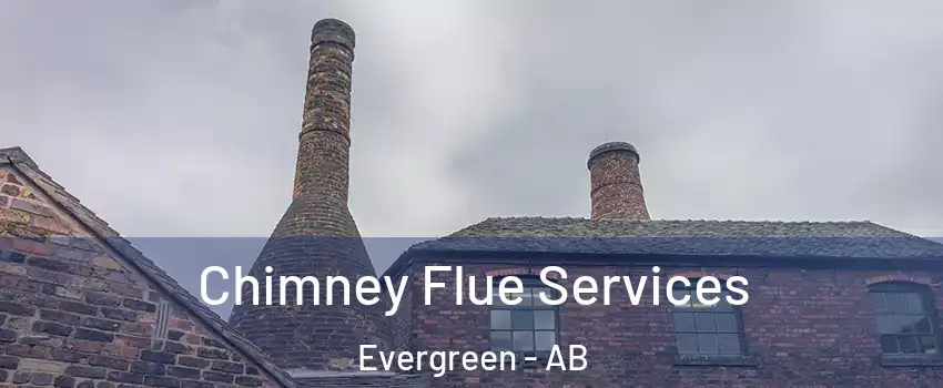  Chimney Flue Services Evergreen - AB