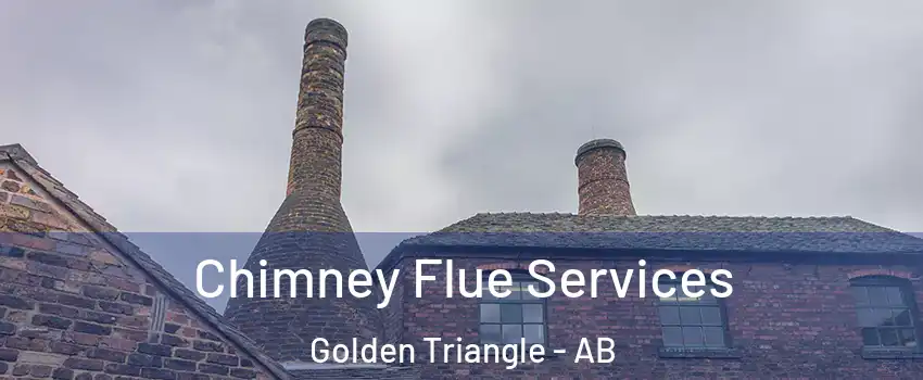  Chimney Flue Services Golden Triangle - AB