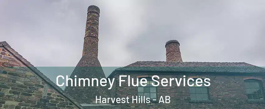  Chimney Flue Services Harvest Hills - AB