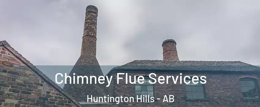  Chimney Flue Services Huntington Hills - AB