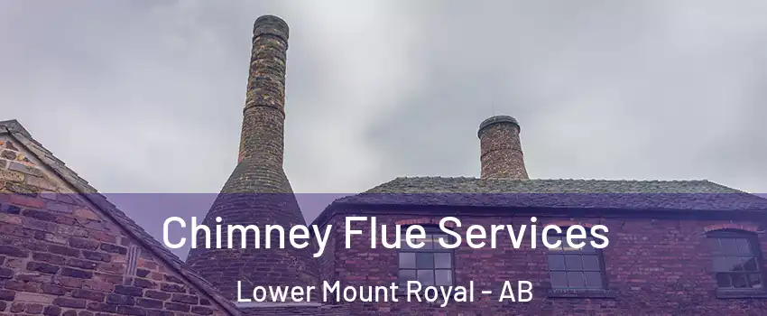  Chimney Flue Services Lower Mount Royal - AB