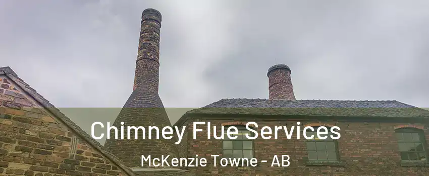  Chimney Flue Services McKenzie Towne - AB