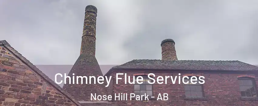  Chimney Flue Services Nose Hill Park - AB