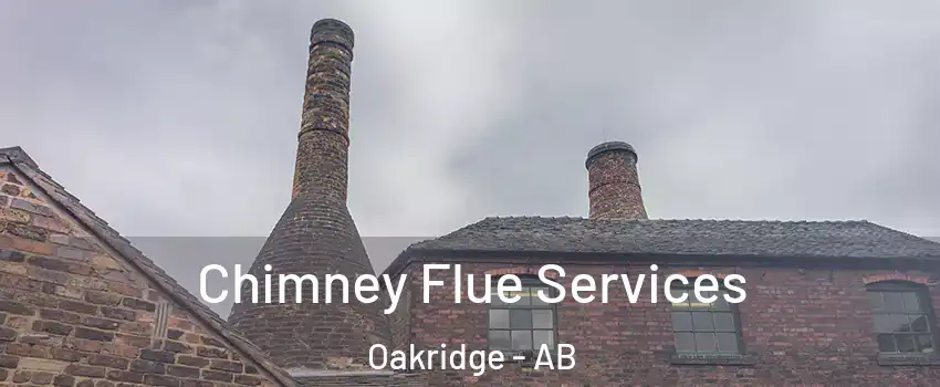  Chimney Flue Services Oakridge - AB