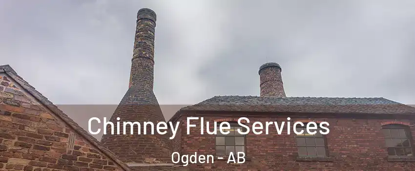  Chimney Flue Services Ogden - AB