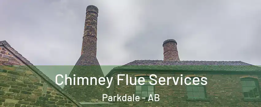  Chimney Flue Services Parkdale - AB