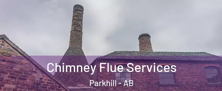  Chimney Flue Services Parkhill - AB