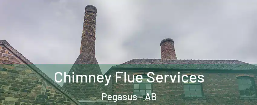  Chimney Flue Services Pegasus - AB