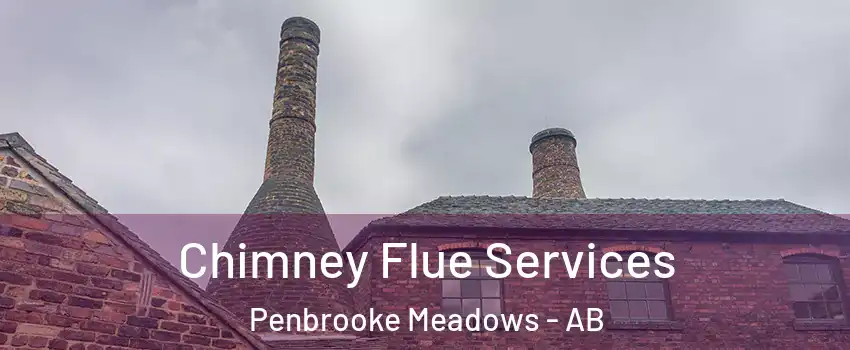  Chimney Flue Services Penbrooke Meadows - AB