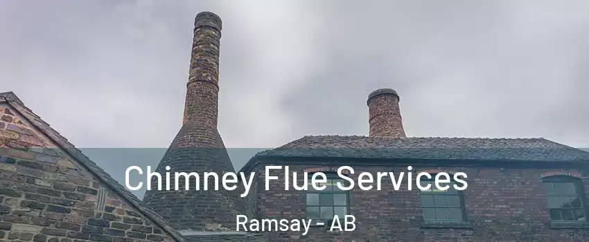  Chimney Flue Services Ramsay - AB