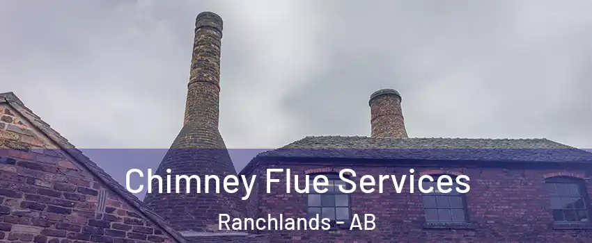  Chimney Flue Services Ranchlands - AB