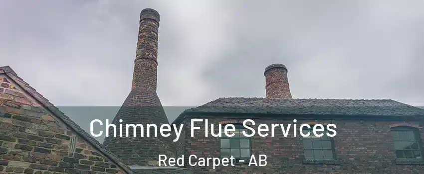  Chimney Flue Services Red Carpet - AB