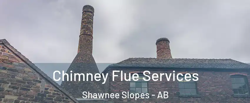  Chimney Flue Services Shawnee Slopes - AB