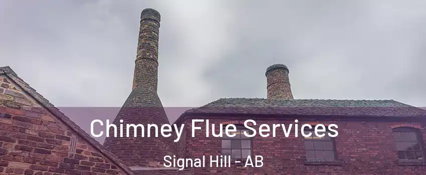  Chimney Flue Services Signal Hill - AB