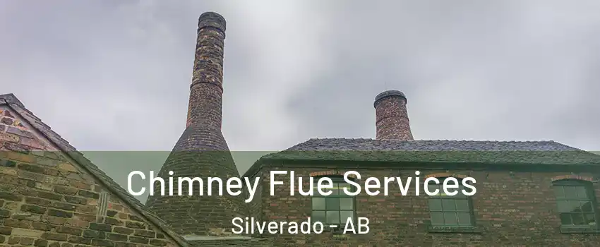  Chimney Flue Services Silverado - AB