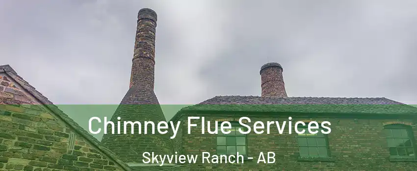  Chimney Flue Services Skyview Ranch - AB