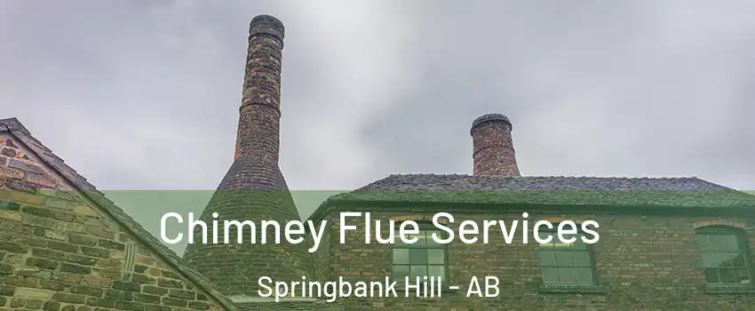  Chimney Flue Services Springbank Hill - AB