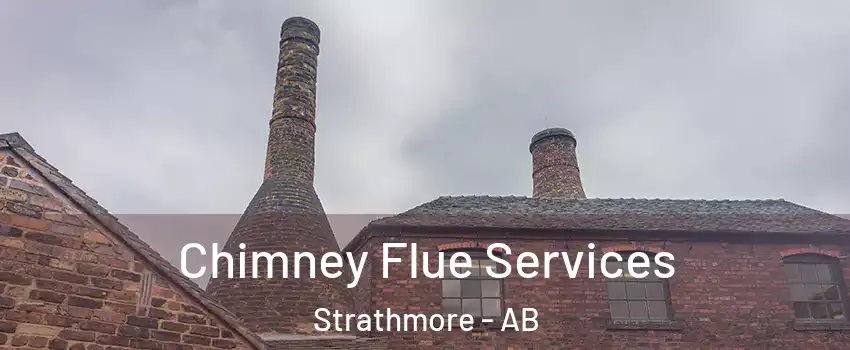  Chimney Flue Services Strathmore - AB