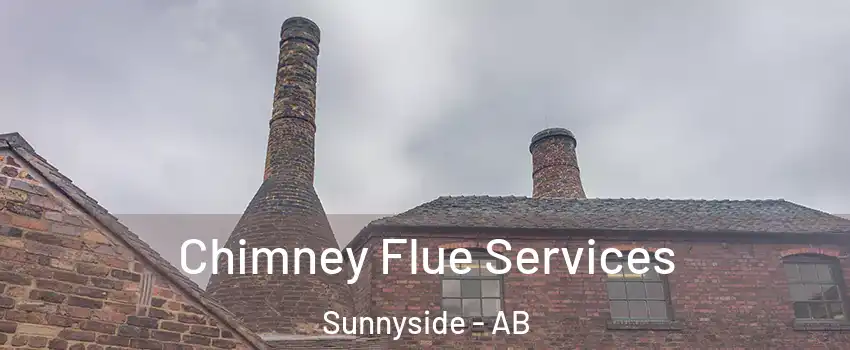  Chimney Flue Services Sunnyside - AB