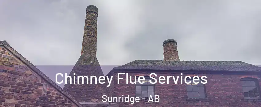  Chimney Flue Services Sunridge - AB
