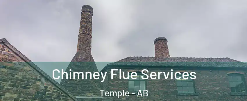  Chimney Flue Services Temple - AB