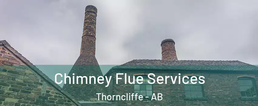  Chimney Flue Services Thorncliffe - AB