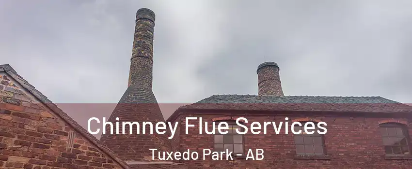  Chimney Flue Services Tuxedo Park - AB