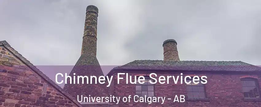  Chimney Flue Services University of Calgary - AB