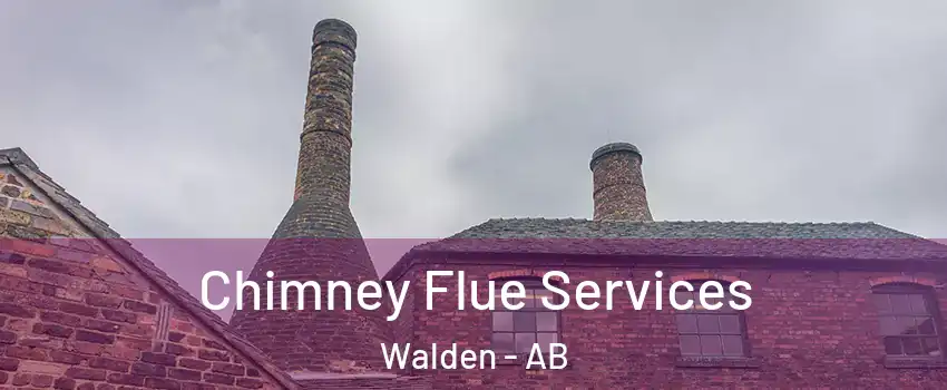  Chimney Flue Services Walden - AB